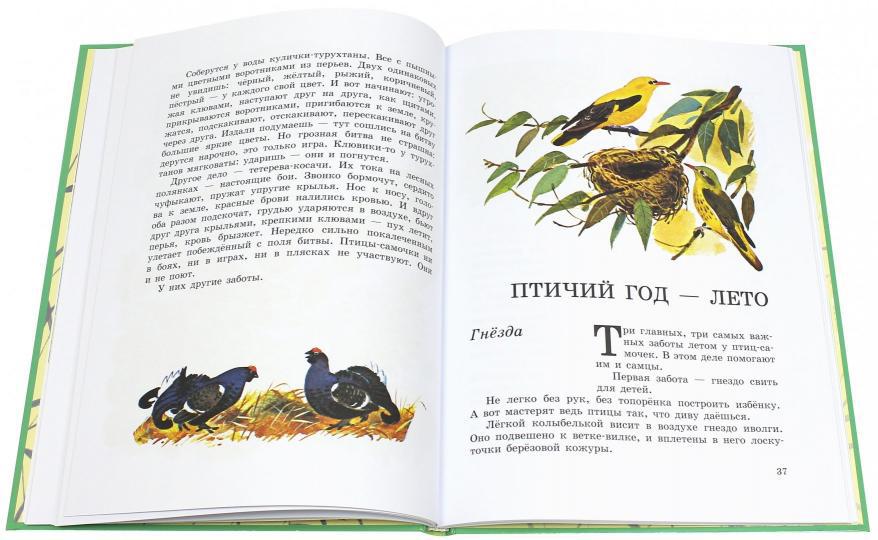 Виталий Бианки: Наши птицы